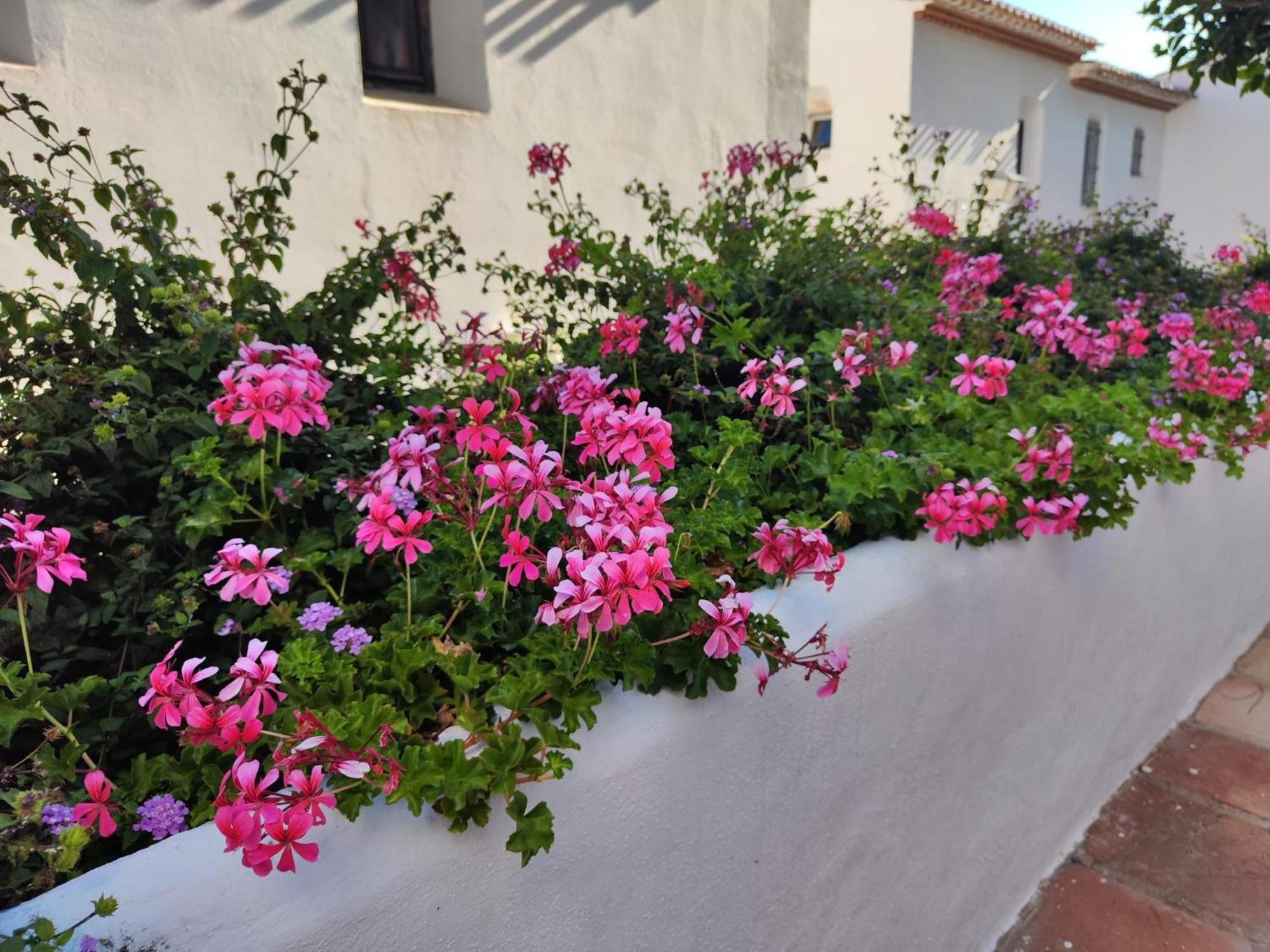 Dona Lola , Luminoso Apartamento Calahonda, Mijas Sitio de Calahonda エクステリア 写真